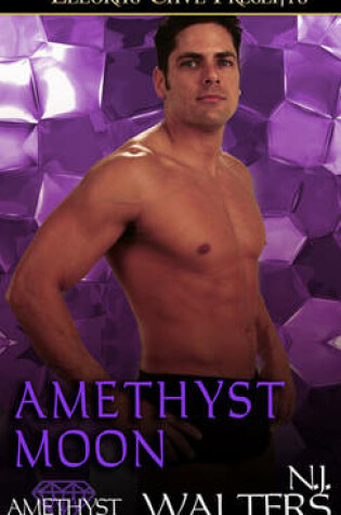 Cover of Amethyst Moon