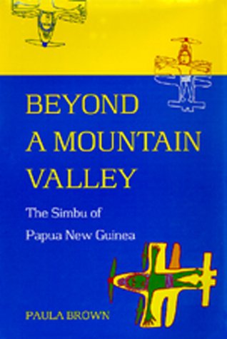 Book cover for Beyond a Mountain Valley