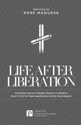Book cover for Life After Liberation