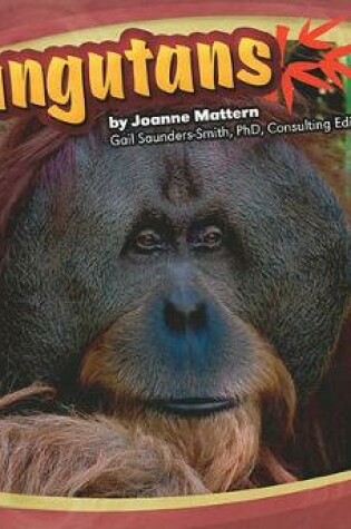 Cover of Orangutans