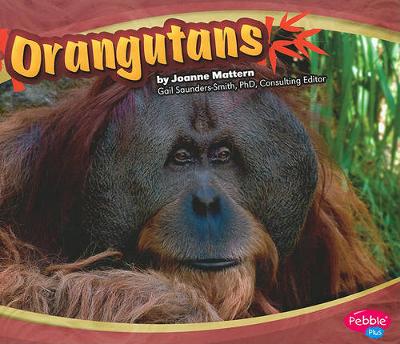 Book cover for Orangutans