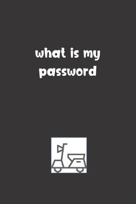 Book cover for What is My Password