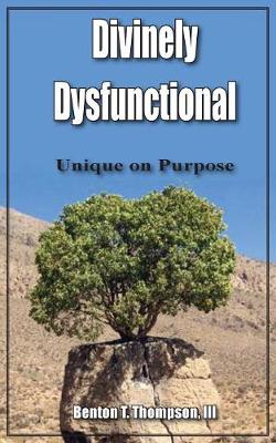 Cover of Divinely Dysfunctional
