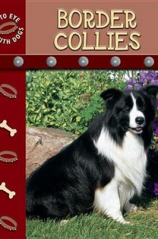 Cover of Border Collies