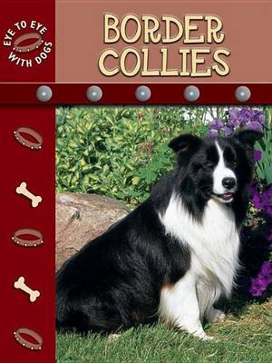 Book cover for Border Collies