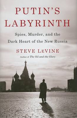 Book cover for Putin's Labyrinth