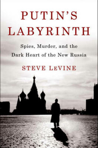 Cover of Putin's Labyrinth