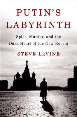 Book cover for Putin's Labyrinth