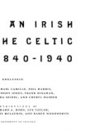 Cover of Imagining an Irish Past