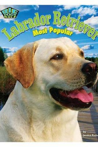 Cover of Labrador Retriever