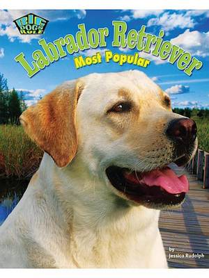 Book cover for Labrador Retriever