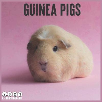 Book cover for Guinea Pigs 2021 Calendar