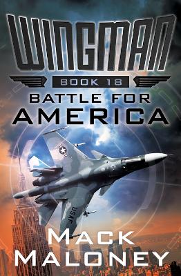 Book cover for Battle for America