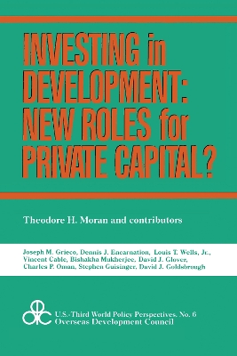 Book cover for Investing in Development