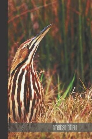 Cover of american bittern