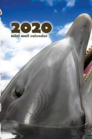 Cover of Dolphins 2020 Mini Wall Calendar