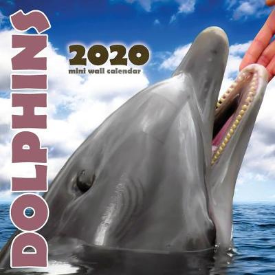 Book cover for Dolphins 2020 Mini Wall Calendar