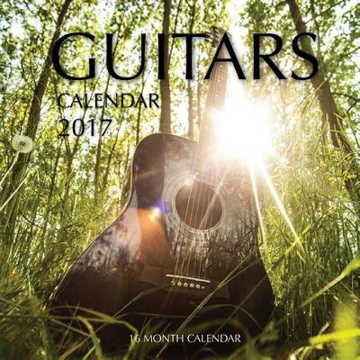 Book cover for Guitars Calendar 2017