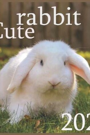 Cover of rabbit cute