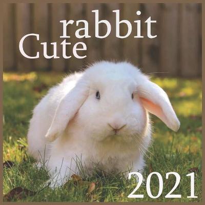 Book cover for rabbit cute