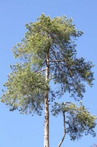 Cover of Notebook Reforestation and the Treasure of Trees