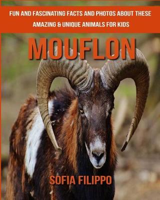 Book cover for Mouflon