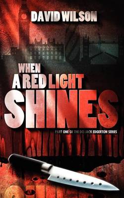 Book cover for When a Red Light Shines