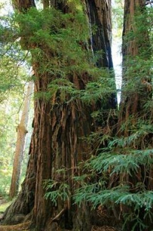 Cover of Giant Redwood Trees (for the Love of Nature)