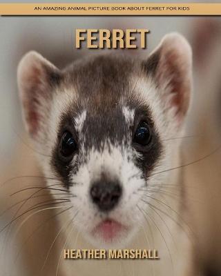 Book cover for Ferret