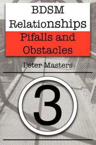 Cover of BDSM Relationships - Pitfalls and Obstacles