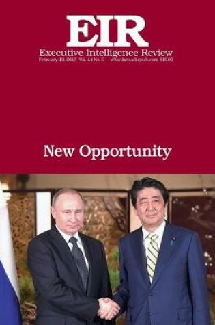 Cover of New Opportunity