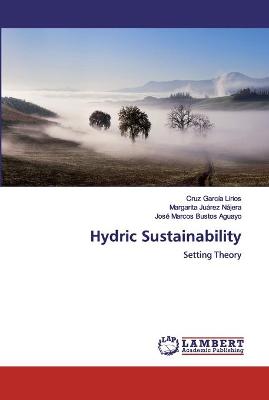 Book cover for Hydric Sustainability