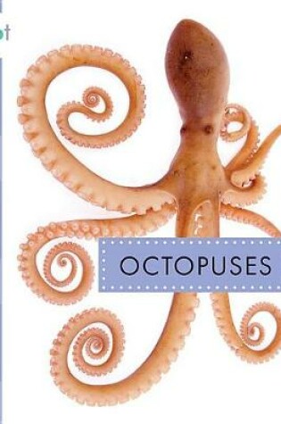 Cover of Octopuses