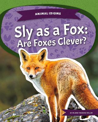 Book cover for Sly as a Fox