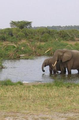 Book cover for Elephant Herd in Uganda, Africa Journal