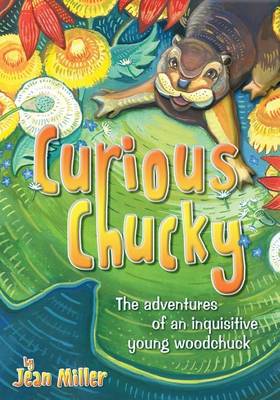 Book cover for Curious Chucky