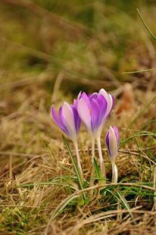 Cover of Purple and White Crocus Flowers Sprouting in Spring Journal