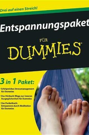 Cover of Mein Entspannungspaket fur Dummies