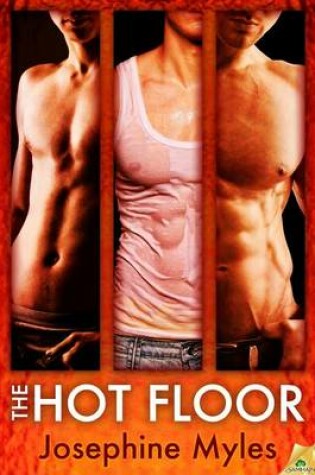 Cover of The Hot Floor