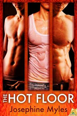 Book cover for Hot Floor