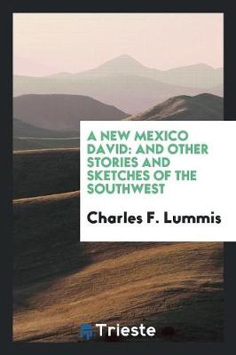 Book cover for A New Mexico David