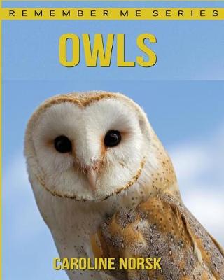 Book cover for Owl