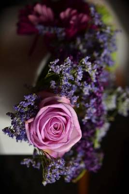 Book cover for A Bouquet of Different Purple and Blue Flowers