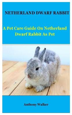 Book cover for Netherland Dwarf Rabbit