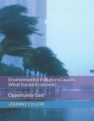 Book cover for Environmental Pollution Causes What Social Economic