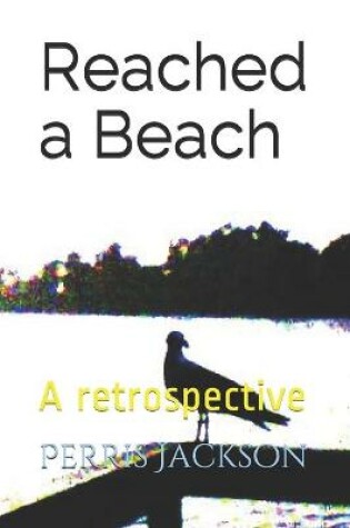 Cover of Reached a Beach