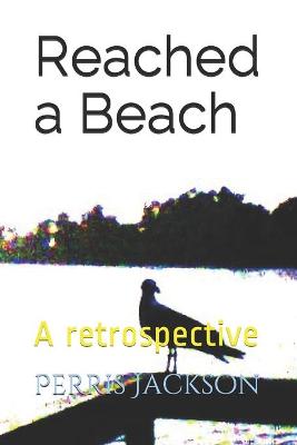 Book cover for Reached a Beach