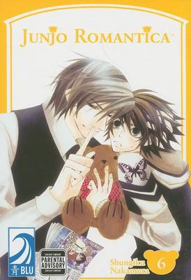 Book cover for Junjo Romantica