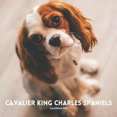 Book cover for Cavalier King Charles Spaniel Calendar 2021