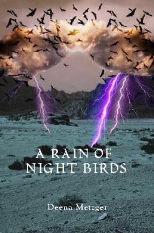 Cover of A Rain of Night Birds